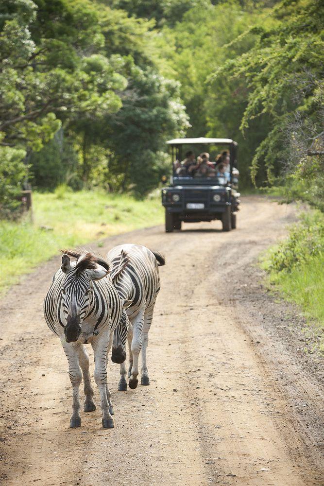 Zululand Safari Lodge Hluhluwe Kültér fotó